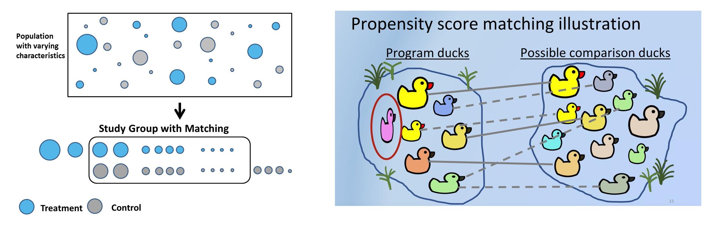 Propensity Score Matching Diagram
