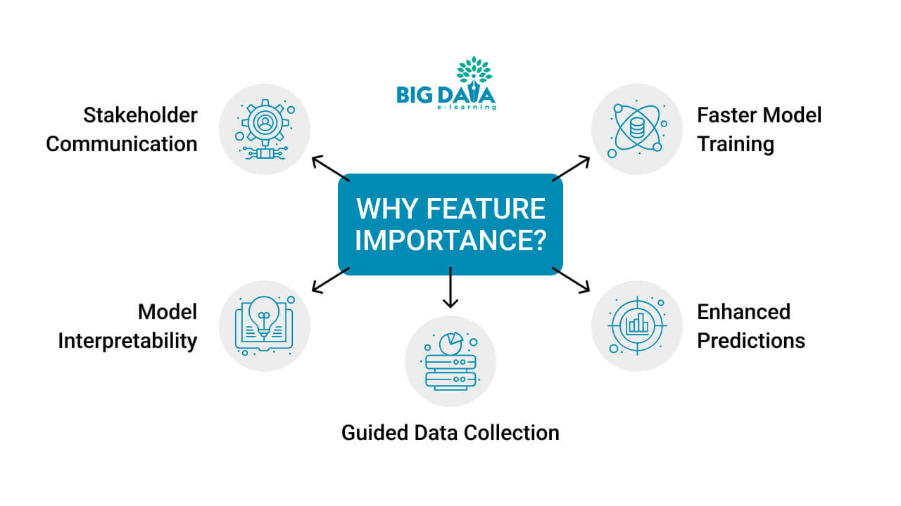 Feature Importance Chart