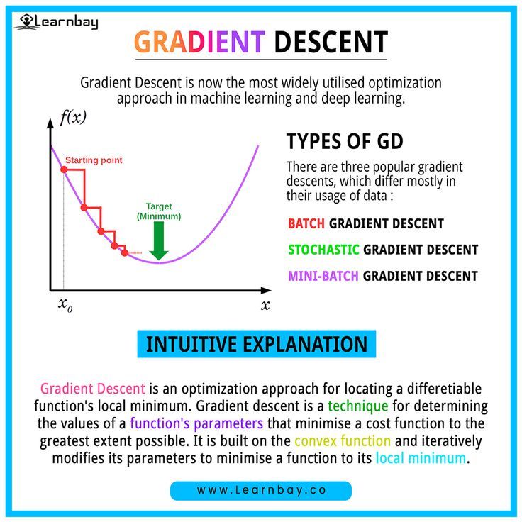 Gradient Descent Variants