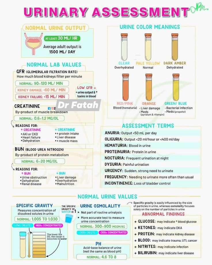 Urine Output Assessment